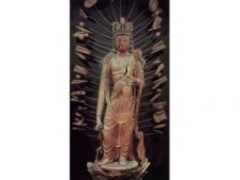 �@�؎��@����\��ʊω���F�������ʊJ���i6���j�̎ʐ^1