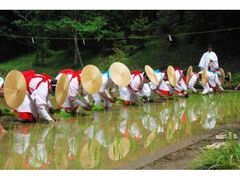 ��c�A�Ղ̎ʐ^1