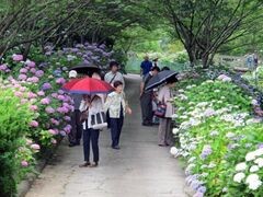 �a�̎R���A�������ΉԃZ���^�[�̂��������̎ʐ^1