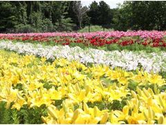 �Ƃ��Ƃ�ԉ�L�@��聕�A�W�T�C�܂�̎ʐ^1