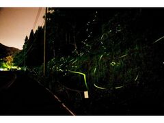 �O������@�z�^���Ղ�̎ʐ^1