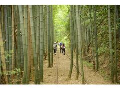 SUN�|IN�����E�I�[�N�̎ʐ^1