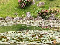 �ω��@�뉀�̃X�C�����̎ʐ^1