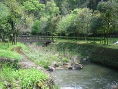 �ق�������E�ق���̊ف@�ق���̔��Ă̎ʐ^1