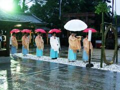 �R���R�@�ĉz���P���킭����Ղ̎ʐ^1