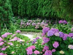 �O�i���Ԃ܂�̎ʐ^1