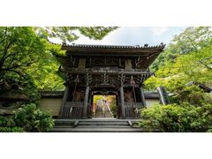 �O�@��t�~�a���͍Ղ̎ʐ^1