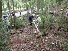 �Ђ낵�܁u�R�̓��v�����̏W���i�L�����Ή��Z���^�[���j�̎ʐ^1