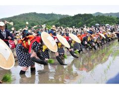 �p���̉ԓc�A�̎ʐ^1