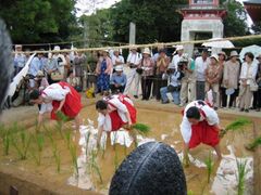 �h�{�V���{�@��c�A�Ղ̎ʐ^1