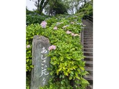 ���X�|�[�c�����̂����������̎ʐ^1