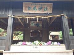 �m�̒뉀���t���b�V���p�[�N�L�Y�@���������܂�̎ʐ^1