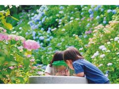 �����А��ق̂����������̎ʐ^1