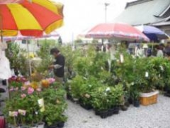 ��~���@�t�s�̎ʐ^1