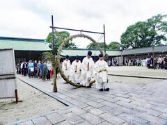 ���Ð_�Ёu���������P���v�̎ʐ^1