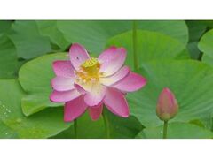 �������@���N�n�X�̎ʐ^1