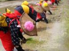 �쌴�����{�@��c�A�Ղ̎ʐ^1