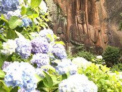 ���������R���ƃA�W�T�C�̎ʐ^1