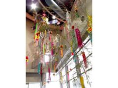 �������s���Ȋw�ف@���[������̎ʐ^1