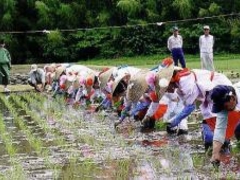 �����c�̒��c��c�A�Ղ̎ʐ^1