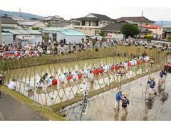 �V�c�_�Ё@��c�A�Ղ̎ʐ^1