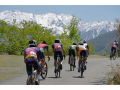 �c�A�[�E�I�u�E�W���p�� �| Astemo �厭�X�e�[�W�̎ʐ^1