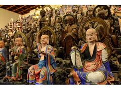 �V�J���̉��O�̎ʐ^1