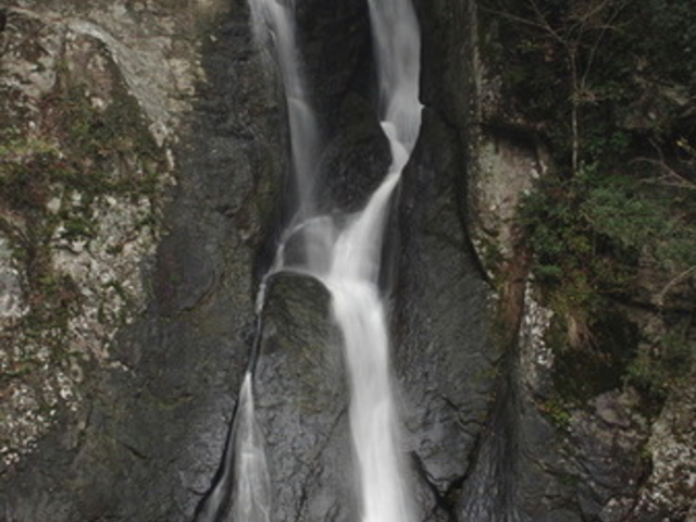 龍頭泉