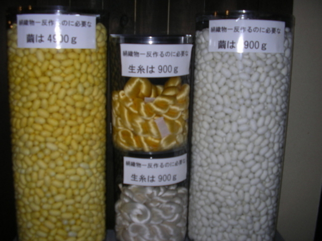 ����V���N�~���[�W�A��