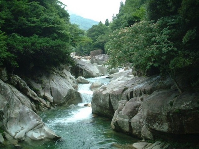 �ۂ�ۂ�����̏j�q��k�J�̓��e�ʐ^1