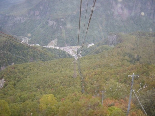 �w�_������