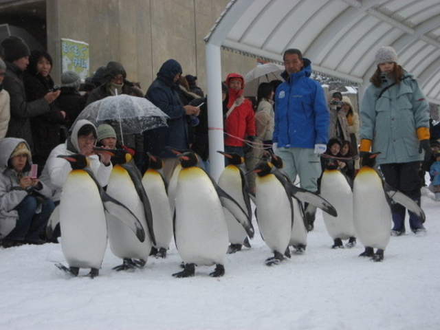 ���R������