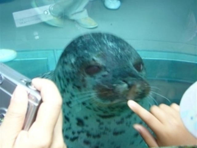 ���R������