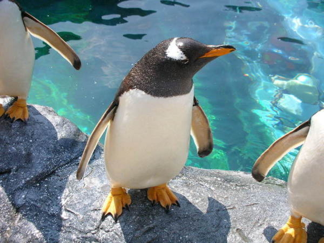 ���R������