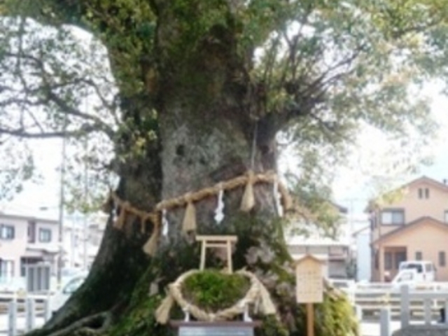 ���h�_�Ђ̑叾