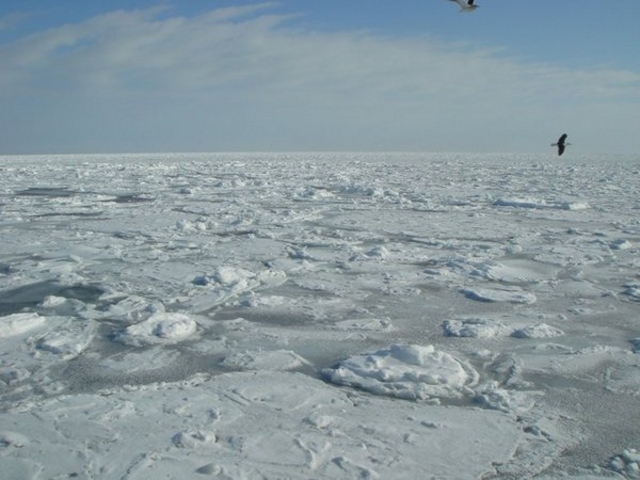 �I�z�[�c�N�C�̗��X