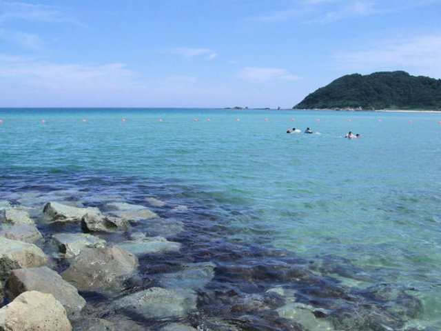 l`r񂳂̔lEΐC̓eʐ^1