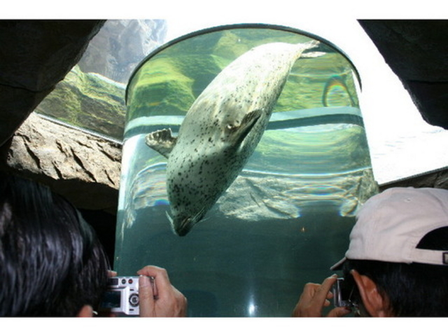 ���R������