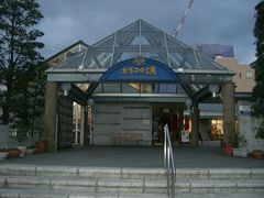 �X�k����̃J���R���H�[�ւ̓��e�ʐ^1