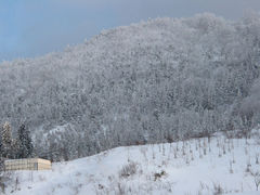 �܂肠����������̗��֒�ό�����ւ̓��e�ʐ^1