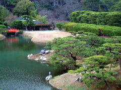 ���ƂЂ낳��̌I�ь����ւ̓��e�ʐ^1