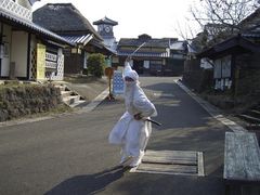 �Ђ낵����̔�O���X���ւ̓��e�ʐ^1