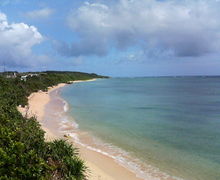 ���\���̎ʐ^1