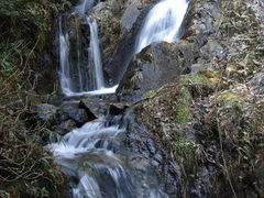 ۂۂ̌F̐쉷 ǂ̓ւ̓eʐ^1