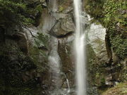 �ۂ�ۂ�����̐����P��̓��e�ʐ^1