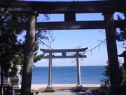 �ҁ[����񂳂�̔����ޑ��{�̓��e�ʐ^1