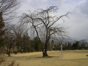 `bs[̏{鐴@Ȃ̍̓eʐ^1