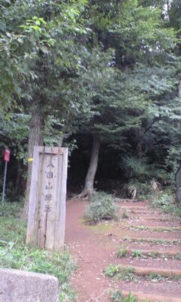 トトロの森1号地
