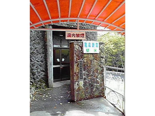 ����V���Ȋw��