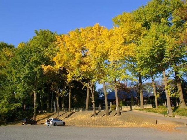 A^C񂳂̐򕟎̓eʐ^1